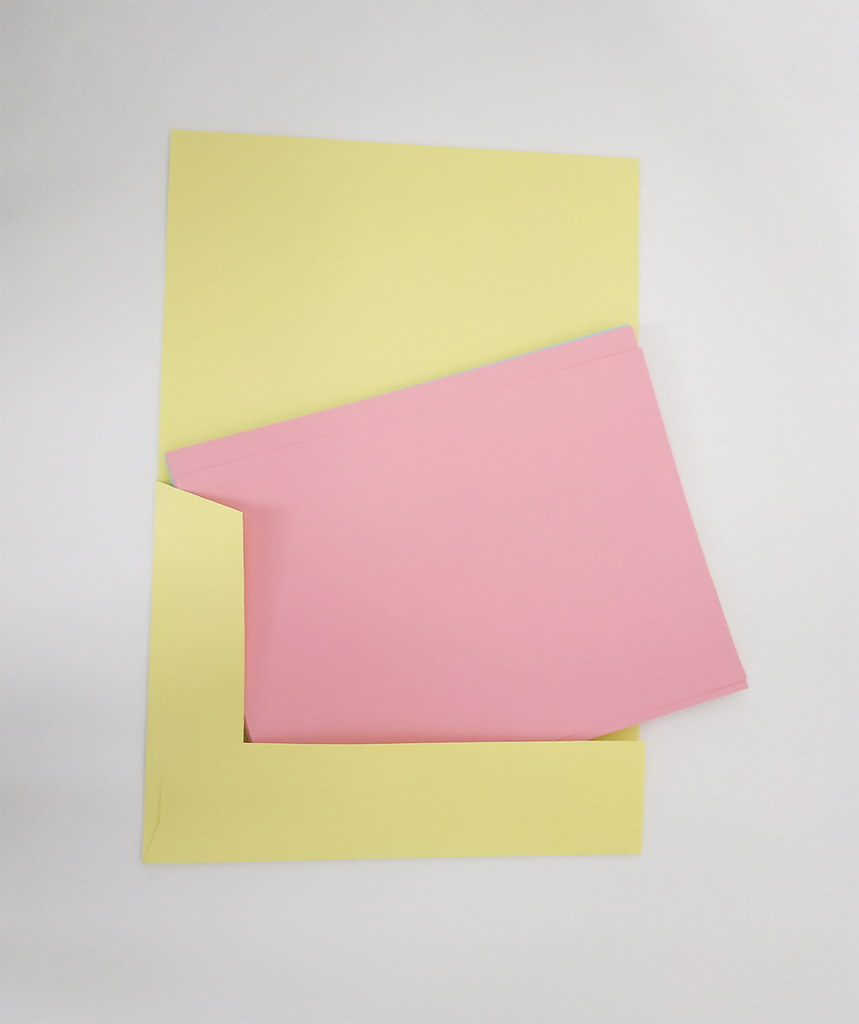 CHEMISES 2 RABATS 25G - 24 X 32 CM - LOT DE 10 - ASSORTI