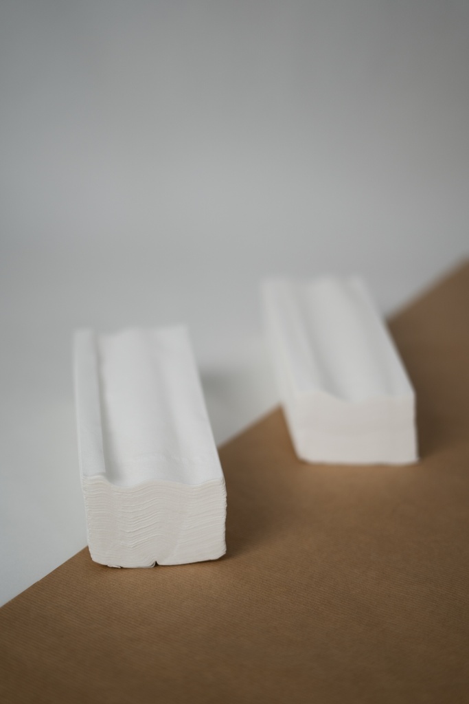 PAQUETS D'ESSUIE-MAINS - 100 FEUILLES ENCHEVETREES - LOT DE 2