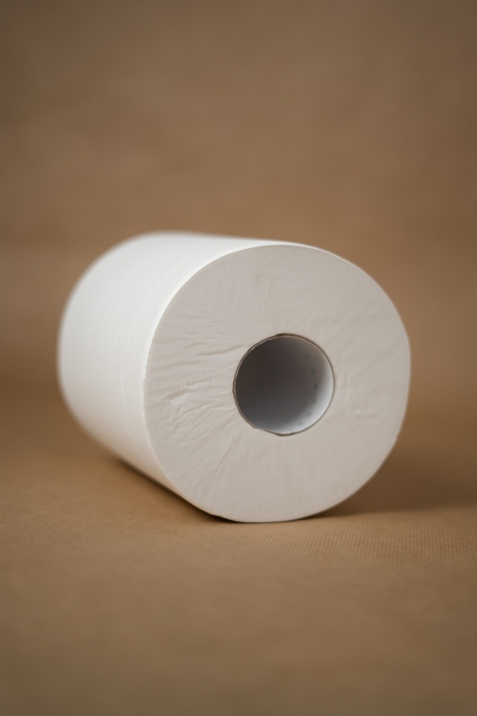 BOBINE PAPIER D'ESSUYAGE - 450 FEUILLES A DEVIDAGE CENTRAL - BLANC