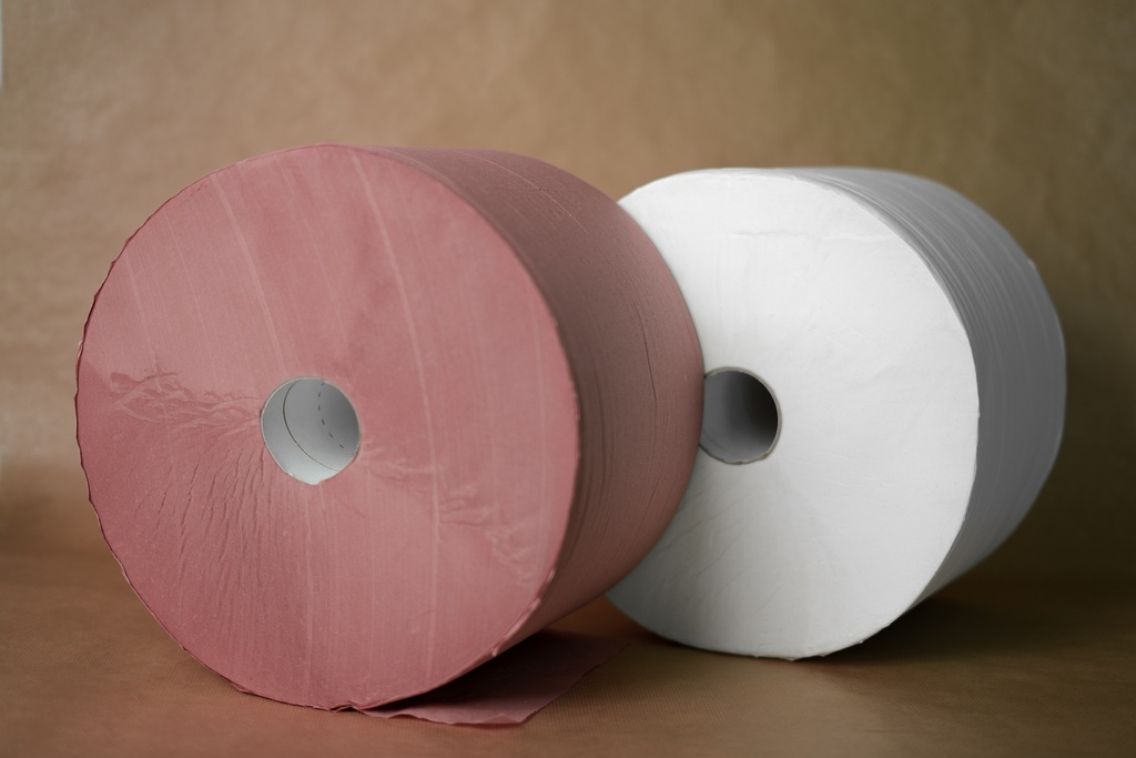 BOBINE PAPIER D'ESSUYAGE - 1 500 FEUILLES PREDECOUPEES - BLANC