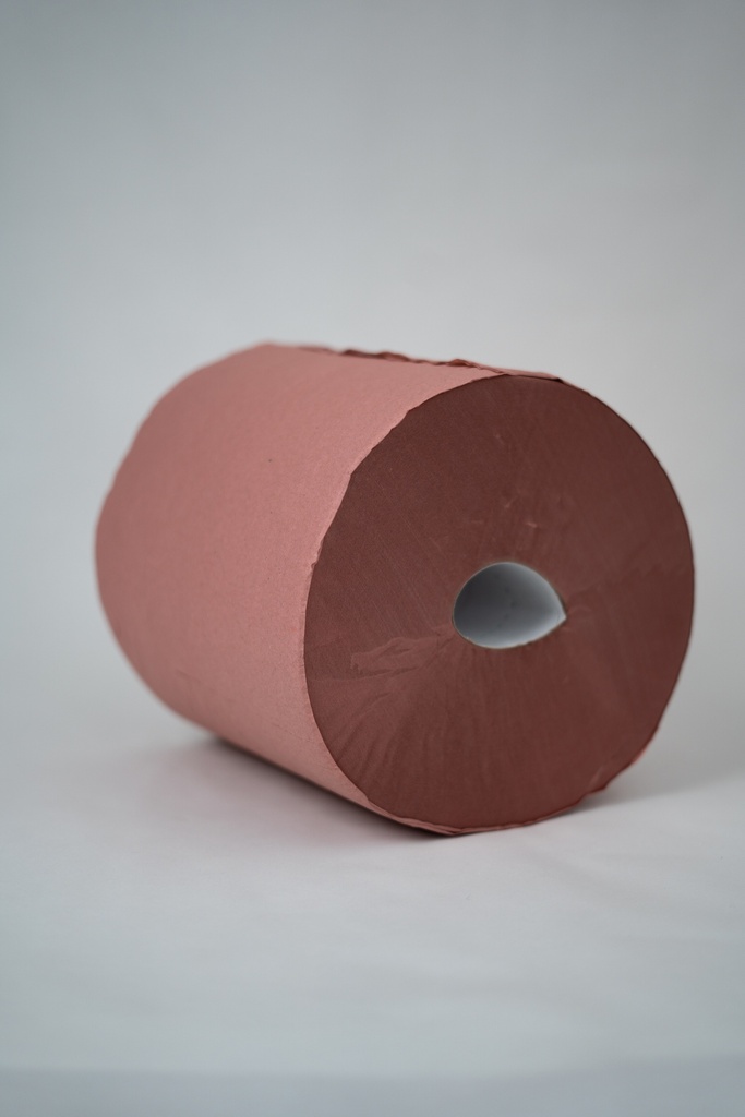 BOBINE PAPIER D'ESSUYAGE - LAIZE 24 CM - 1 000 FEUILLES - CHAMOIS