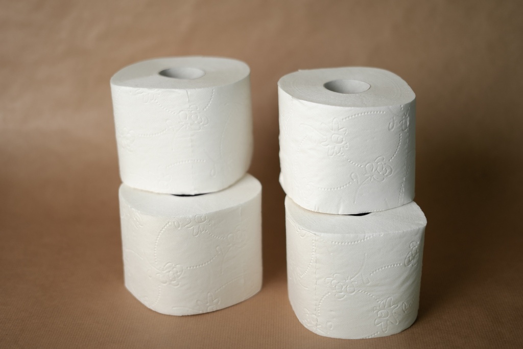 ROULEAUX DE PAPIER TOILETTE - 2 PLIS - 180 FEUILLES - LOT DE 24