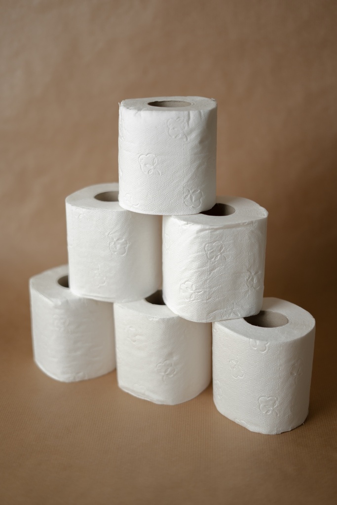 [HY005] ROULEAUX DE PAPIER TOILETTE SUPERIEUR - 3 PLIS - 250 FEUILLES - LOT DE 24