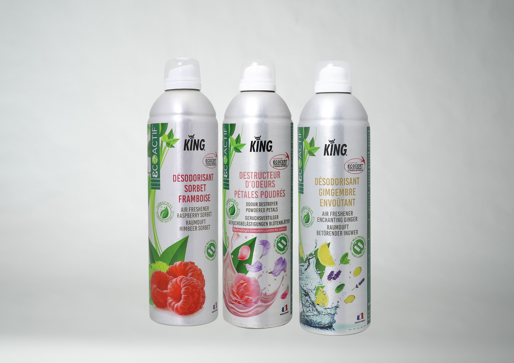 DESODORISANT PARFUME - 400 ML - GINGEMBRE ENVOUTANT