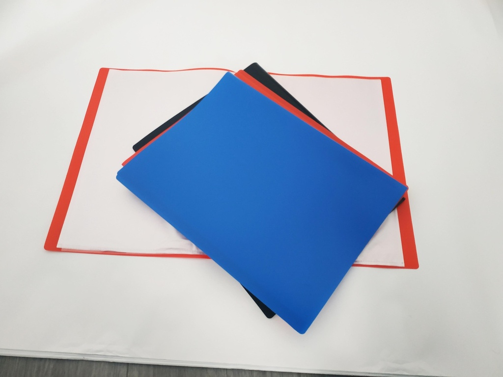 PROTEGE-DOCUMENTS A4 - LOT DE 20 (40 VUES) - ASSORTI