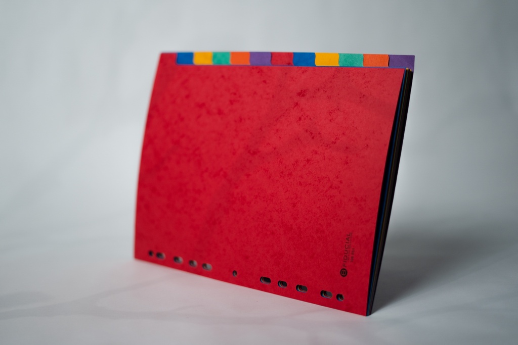 [F191] INTERCALAIRES MAXI A4+ - 12 TOUCHES